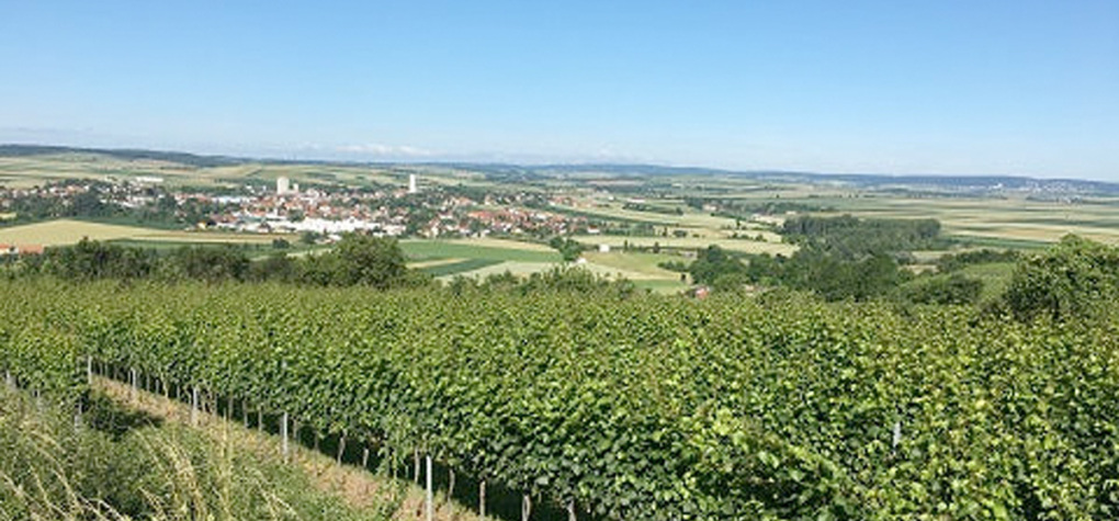 Dippersdorf im Weinviertel, Heimat des Weingutes Heribert Wenzl © Weingut Heribert Wenzl